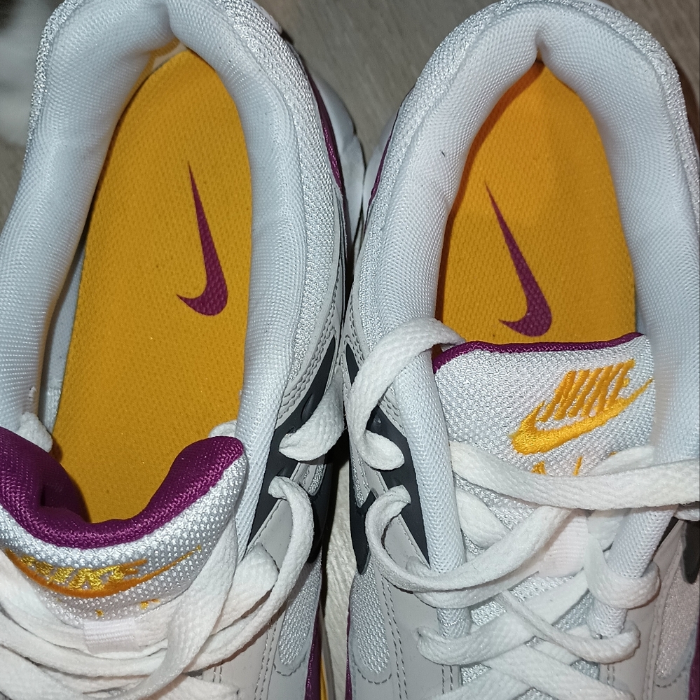 Nike Air Max correlate